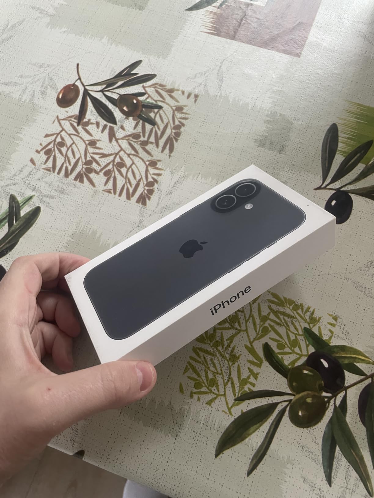 Apple iPhone 17 512 GB Smartphone Lavendel 48 MP