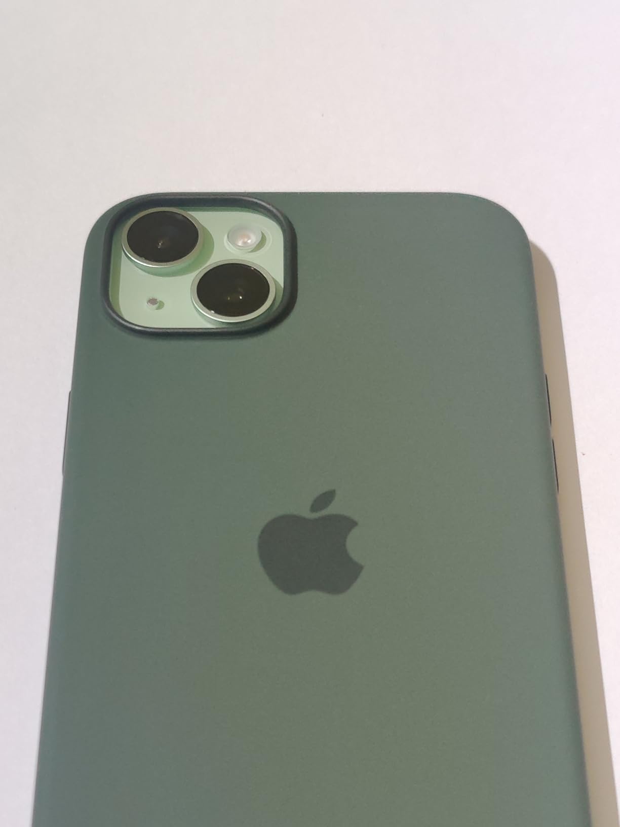 Apple iPhone 15 Plus Silikon Case MagSafe Zypresse
