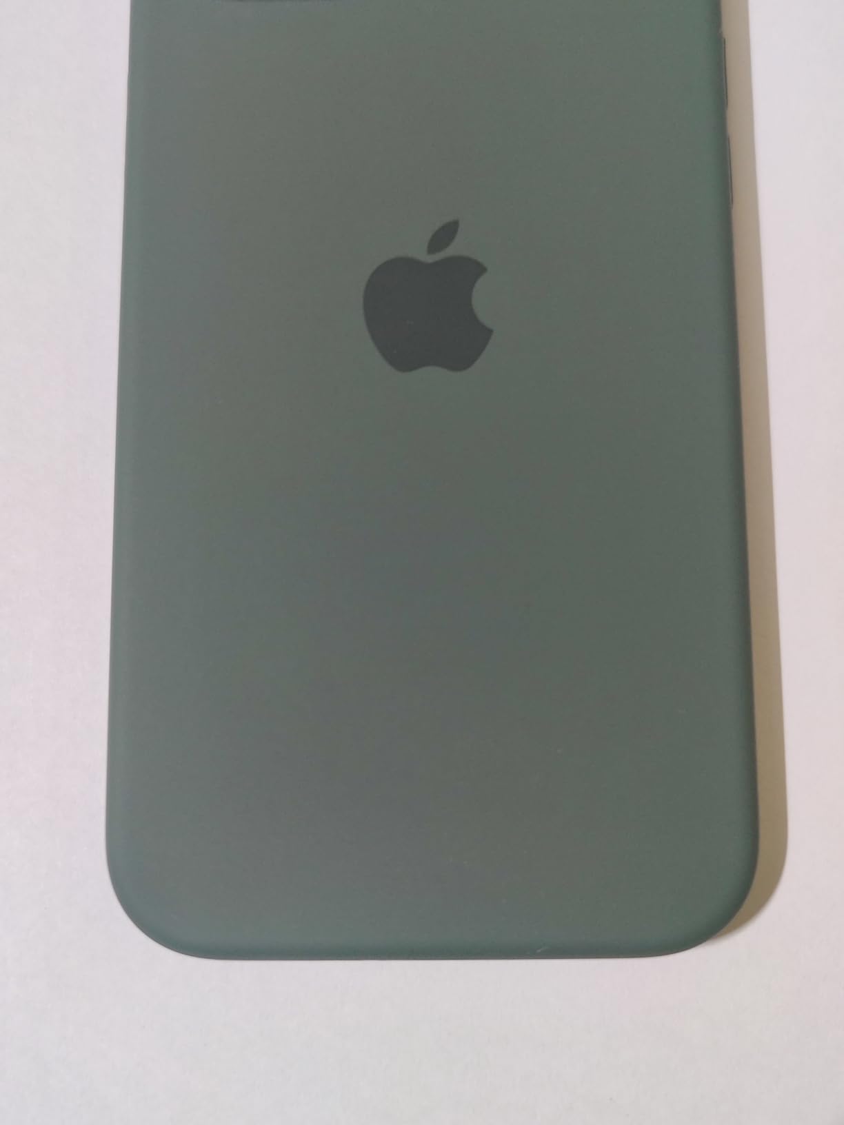 Apple iPhone 15 Plus Silikon Case MagSafe Zypresse