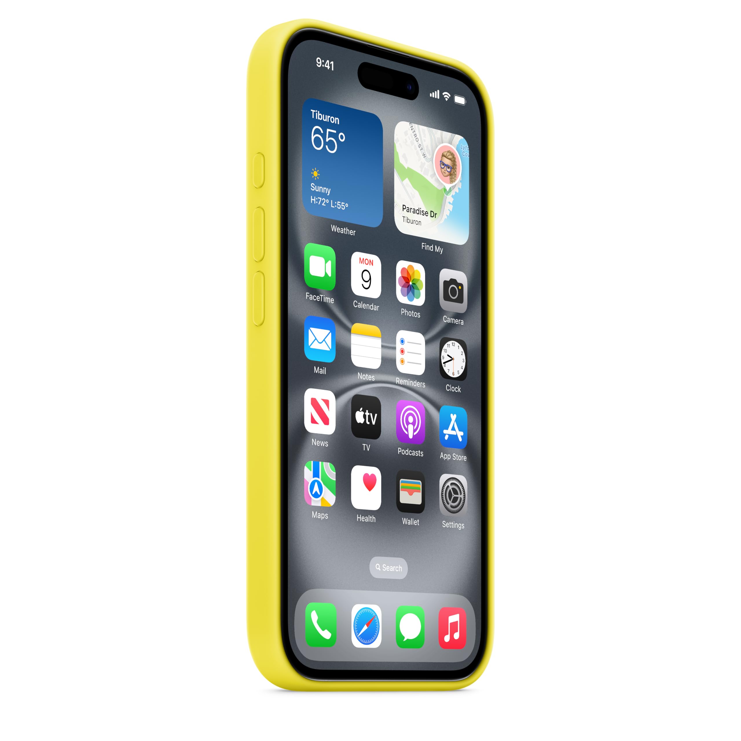 Apple iPhone 16 Silikon Case MagSafe Sternfrucht