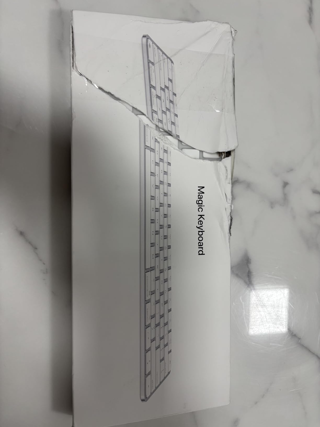 Apple Magic Keyboard Englisch International USB-C kabellos