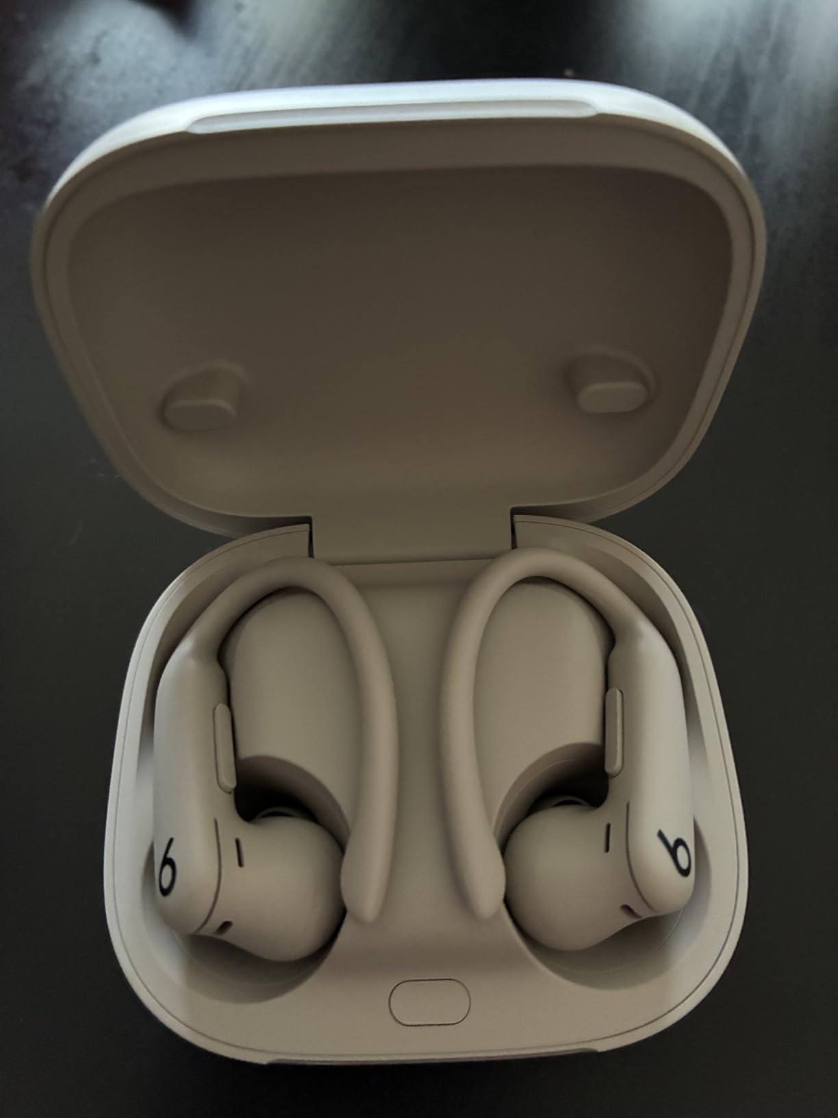 Beats Powerbeats Pro 2 In-Ear Kopfhörer Diamantschwarz ANC