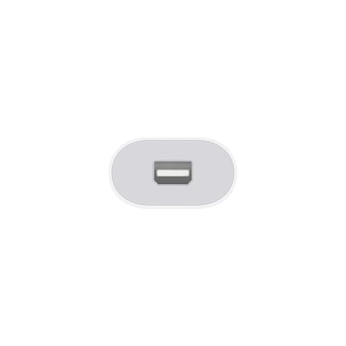 Apple Thunderbolt 3 auf 2 Adapter USB-C bidirektional