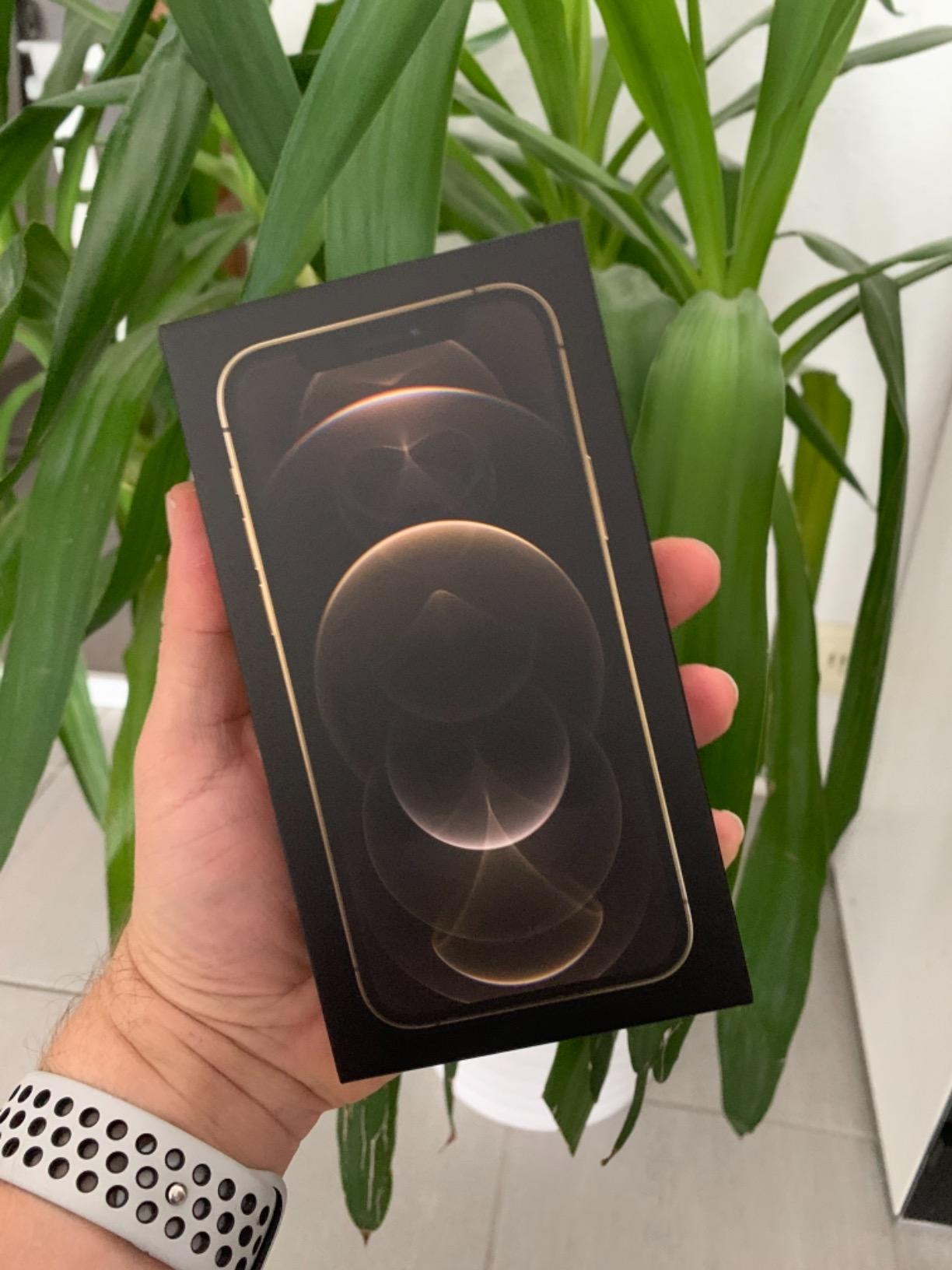 Apple iPhone 12 Pro 512 GB Smartphone Graphit 5G
