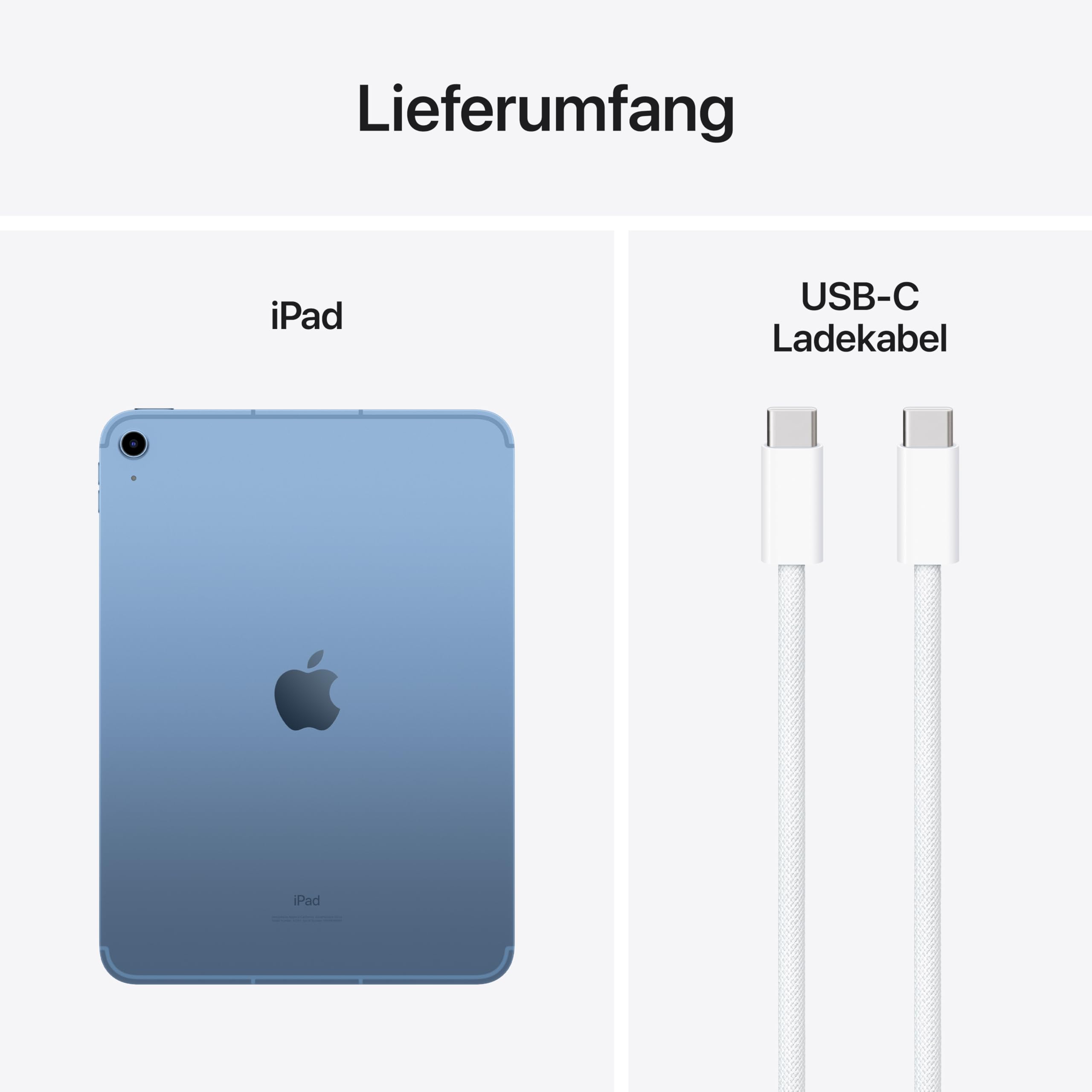 Apple iPad 10,9 Zoll 64GB WiFi+Cellular Blau A14