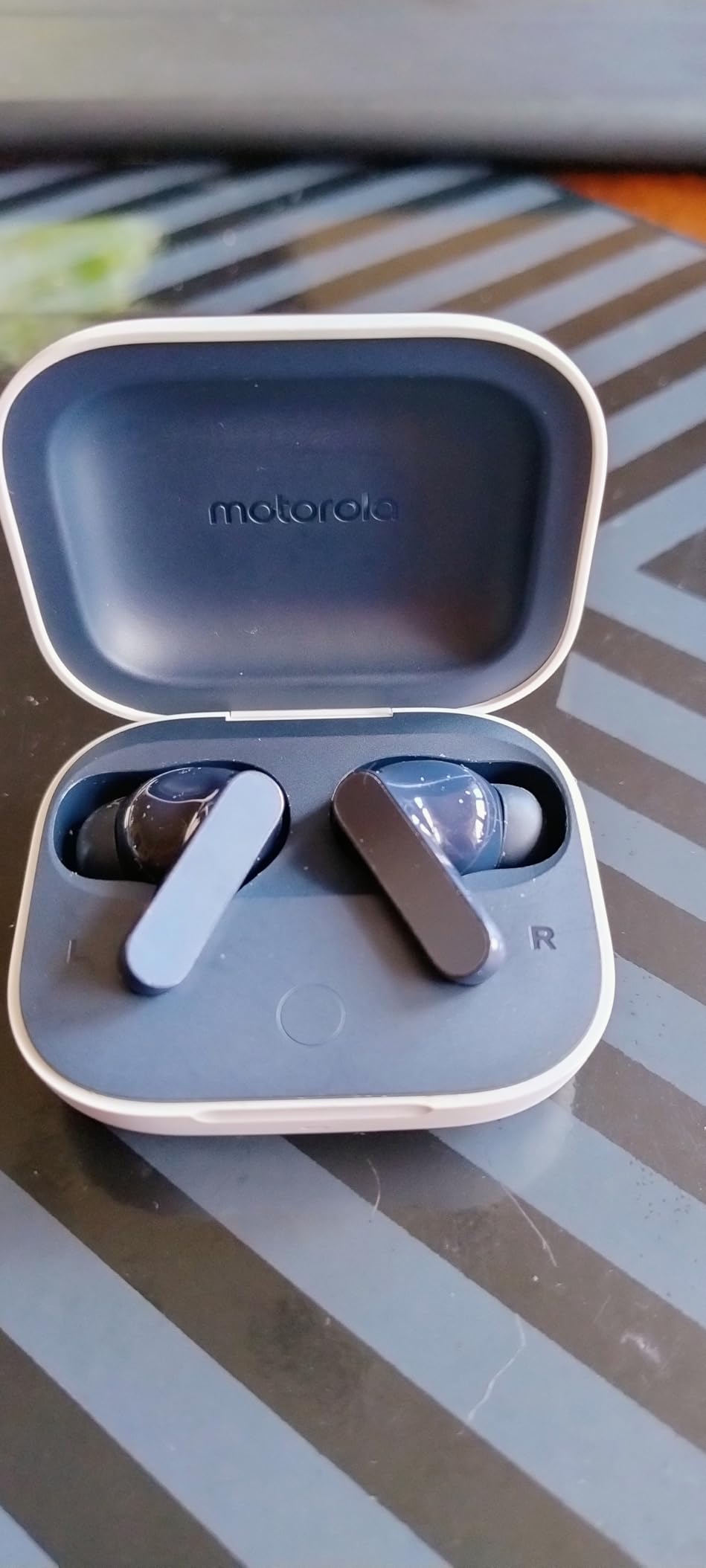 Motorola moto buds Bluetooth Kopfhörer Kiwigrün ANC