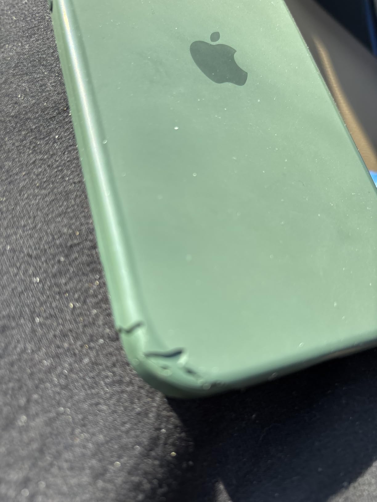 Apple iPhone 15 Plus Silikon Case MagSafe Zypresse