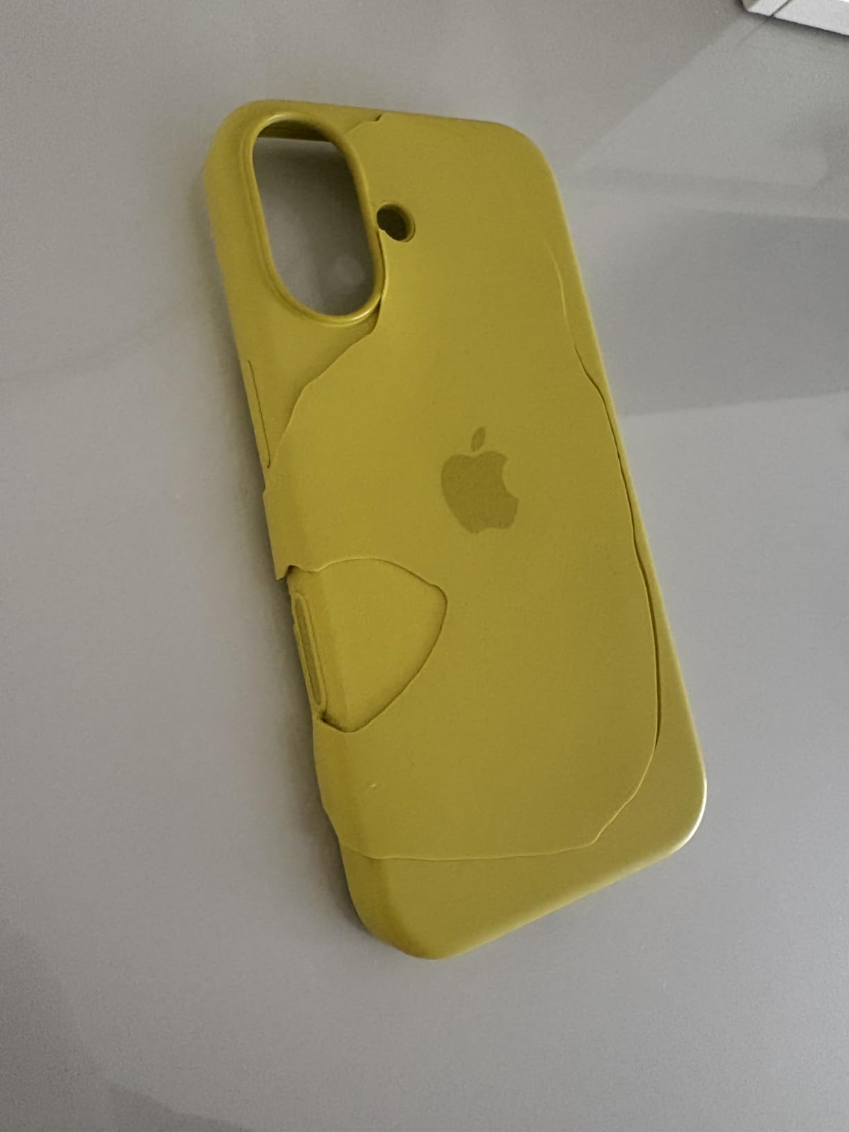 Apple iPhone 16 Silikon Case MagSafe Sternfrucht