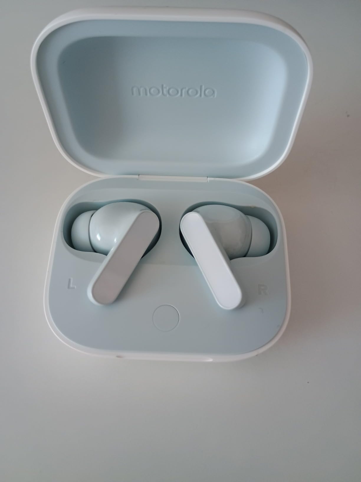 Motorola moto buds Bluetooth Kopfhörer Kiwigrün ANC