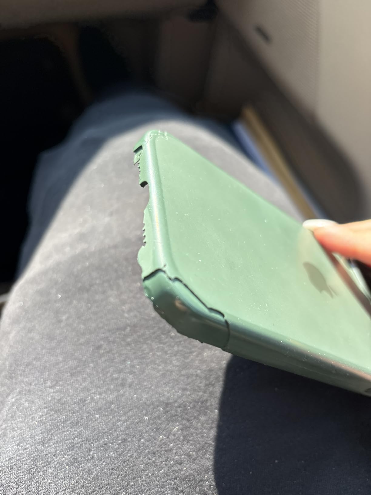 Apple iPhone 15 Plus Silikon Case MagSafe Zypresse