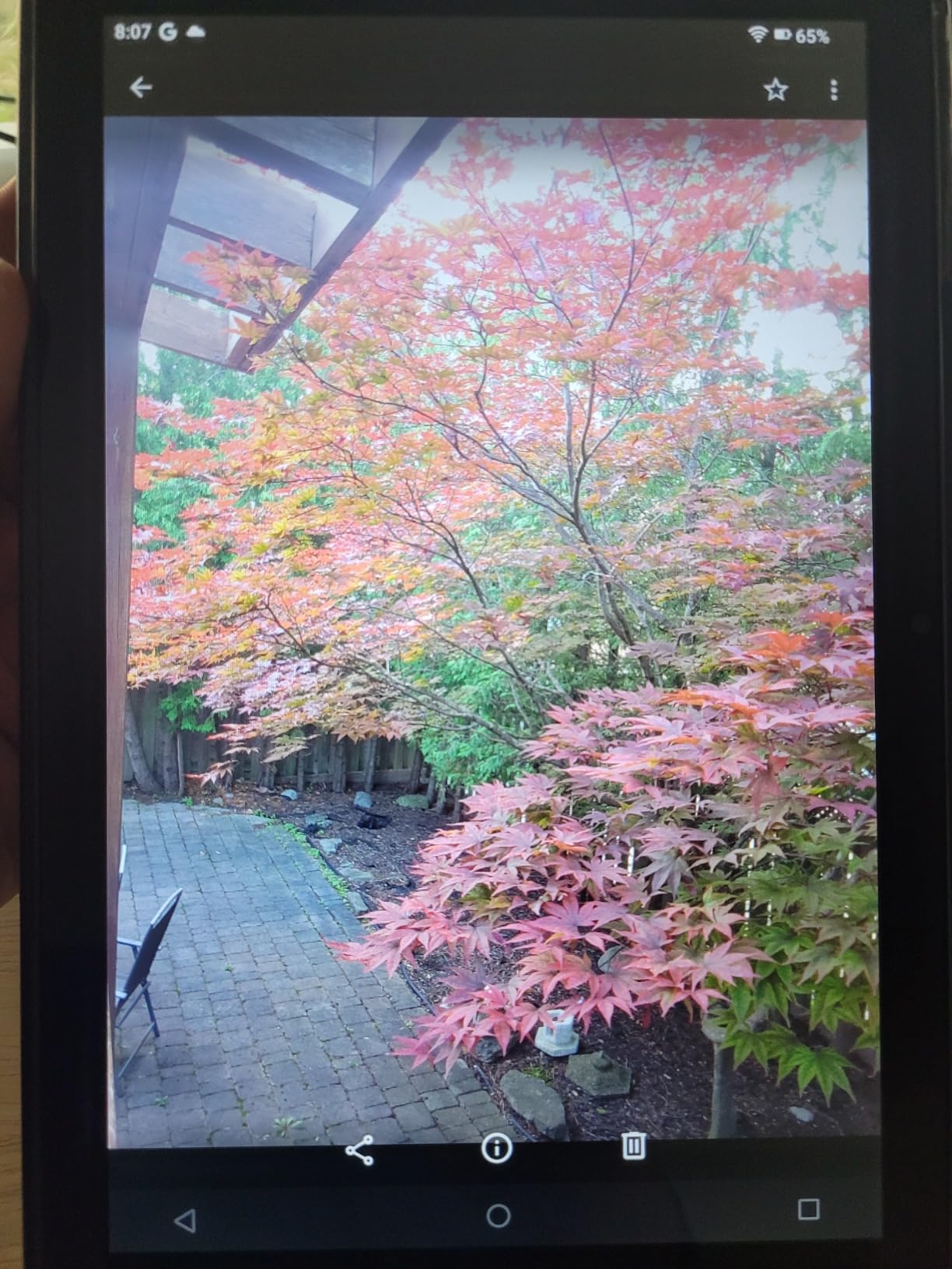 UMIDIGI G2 Tab Tablet 10,1 Zoll Blau 64GB mit Hülle